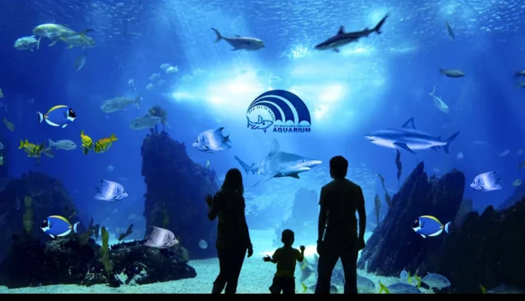 Grand Aquarium in Hurghada