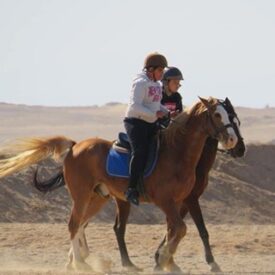 Horse riding to desert from Hurghada