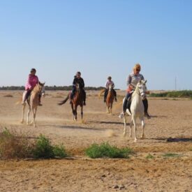Horse riding to desert from Hurghada