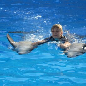 Swimming with dolphins in Hurghada
