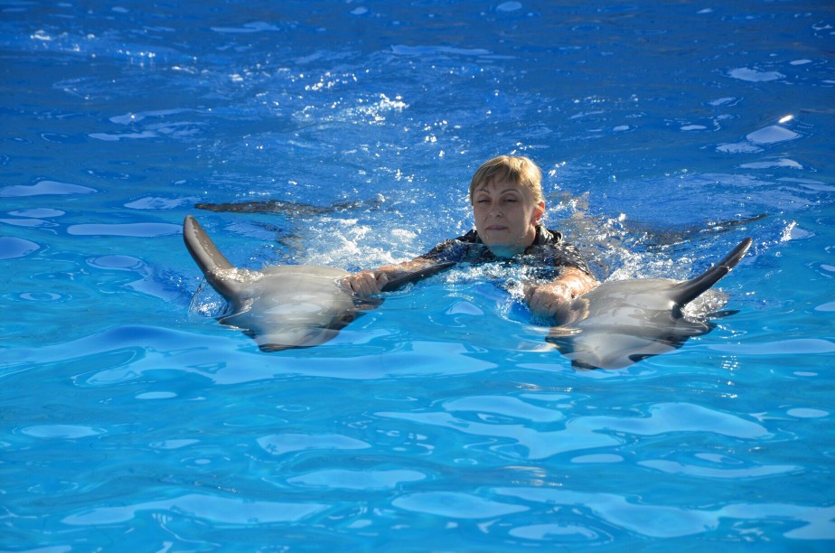 Swimming with dolphins in Hurghada